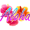 Aloha Holiday Hawaii Gift