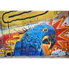 Graffiti World 6