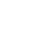 Legend 80