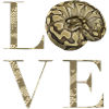 Ball Python snake Lover
