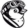 Penguin Head