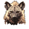 Hyena Hyena