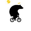 Polje Ny