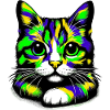 Chat