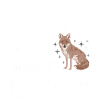 Coyote Animal Funny