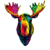 Moose Mosses Bull Elk Antlers Deer Wild Moose