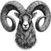 Ram