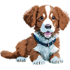 Chiot - Love My TollerDoodle Dog