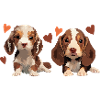 Chiots - N’aimons-nous pas les petits chiens