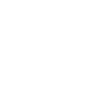 Magic circles Emblem Paladin