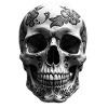 Ornate skull art