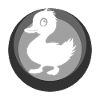 Ducks beak waddling