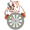 Dartshirt Bear Dartboard