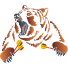 Dartshirt Bear Dart