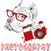 Animal Photography