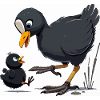 Coot with young