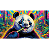 Panda high as fuck