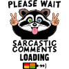 Funny raccoon