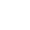 Legend 96