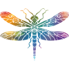 Libellule