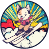 Ski Skiing