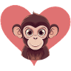 Monkey Zoo Animal