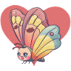 Butterfly Butterfly Animal Lover