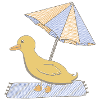Duck in summer