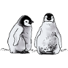 Penguin Babies