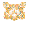 Raccoon Geometric
