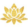 Lotus Flower