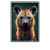 Hyena Hyena