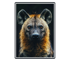 Hyena Hyena