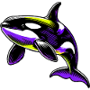 Killer whale
