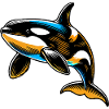 Killer whale