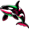 Killer whale