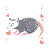 Opossum Possum Animal