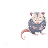 Opossum Possum Animal