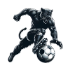 Fußball