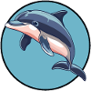 Dauphin Dauphins