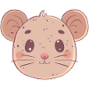 Mice Mouse Teeth