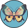 Schmetterling Butterfly