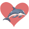 Delfin Meerestier Meerestiere