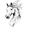 Équitation Cheval