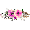 Aquarell Pinkrosen Linie