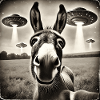 Lusitger Donkey UFO Alien Selfie