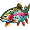Rainbow trout