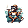Monkey Sunglasses Cool