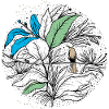 Flower with Bird