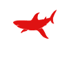 Shark Lure Funny Design